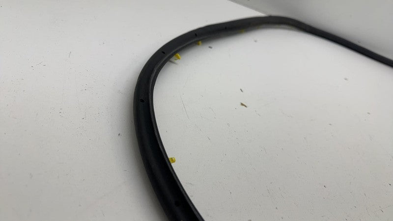 LJ8B-R20530 ⭕ 2021 2022 2023 2024 Ford Mustang Mach-E Front Door Weatherstrip Seal OEM