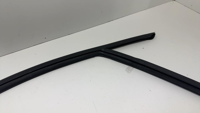 LJ8BR21510AH ⭕ 21-24 Mustang Mach-E Front Right Window Glass Run Channel Seal LJ8B-R21510-AH