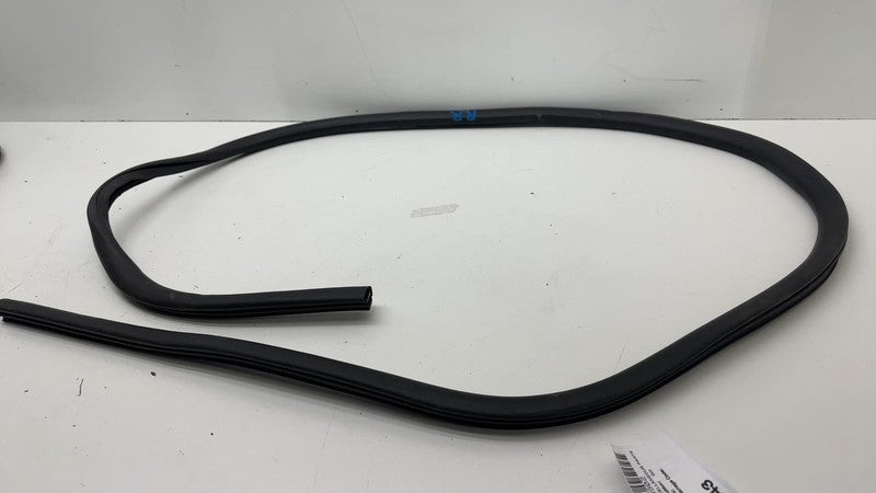 ⭕ 21-24 Mustang Mach-E Rear Passenger Right Door Body Weatherstrip Rubber Seal