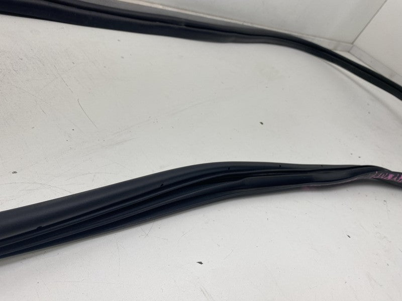 ⭕ 22-24 Hyundai Ioniq 5 Rear Passenger Side Door Weatherstrip Rubber Seal Right