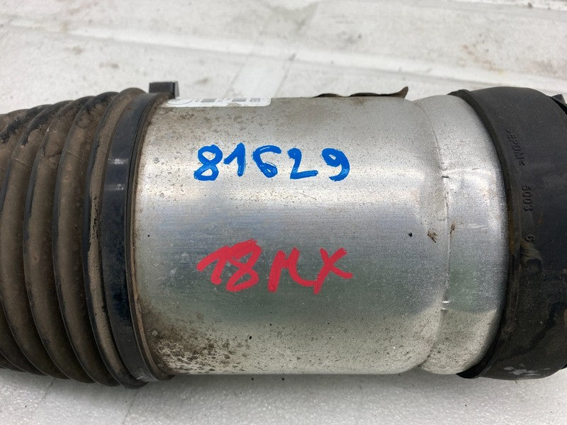 102736100G 16-20 Model X Front Left/Right Air Suspension Shock Spring Absorber 1027361-00-G