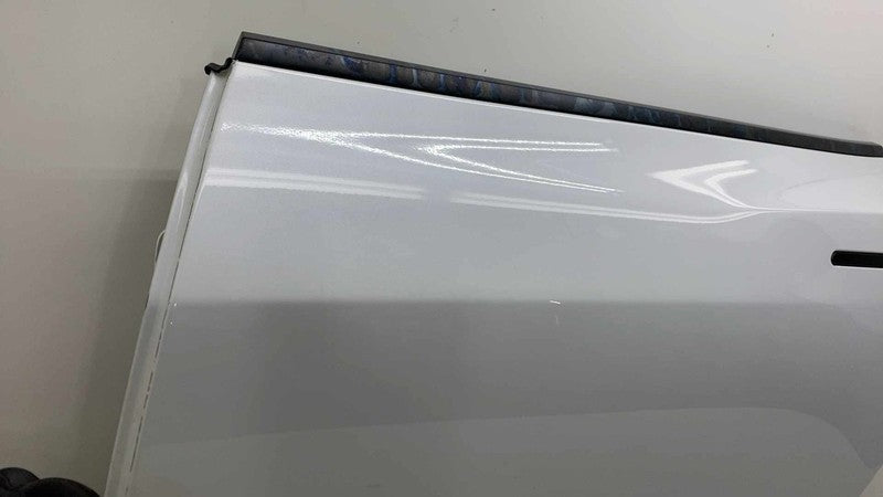 Rear Door TESLA MODEL 3 Left 22