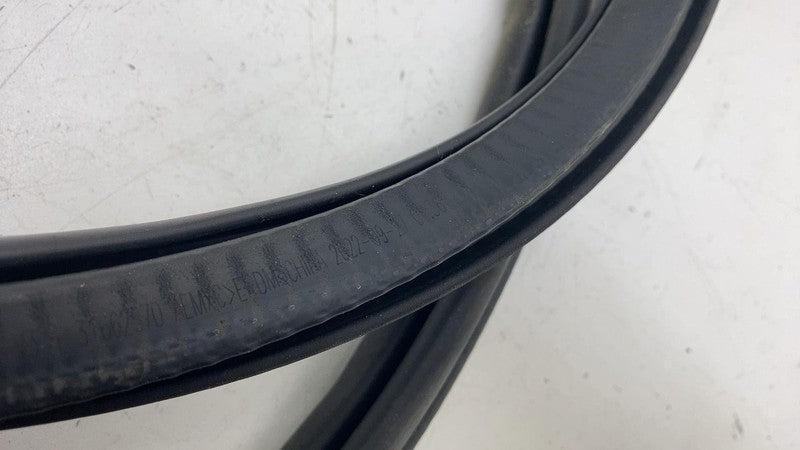 ⭕ 21-23 Polestar 2 Rear Driver Side Door Body Weatherstrip Seal Left L