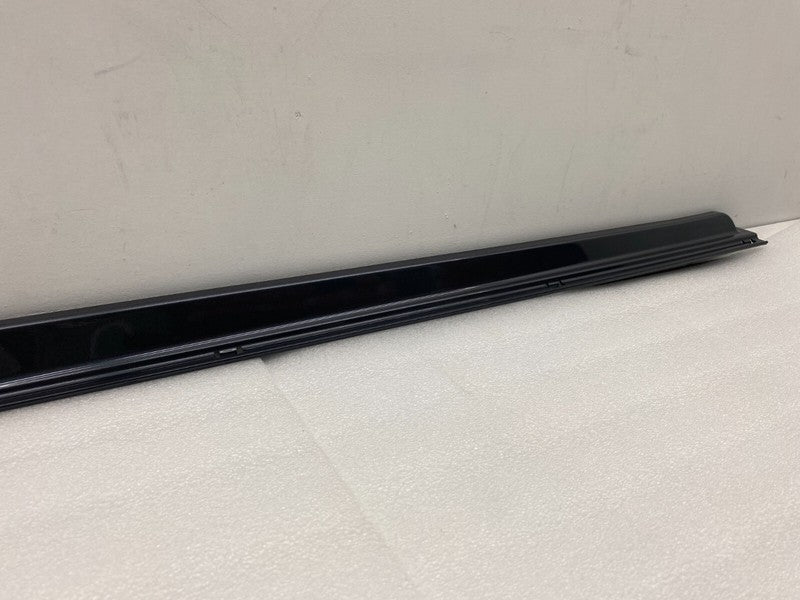 101221500G ⭕ 12-25 Model S Driver Side Rocker Panel Scuff Plate Molding Left 1012215-00-G