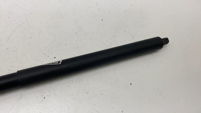 ⭕ 2012-2024 Tesla Model S Rear Left Liftgate Trunk Spring Strut LH 600