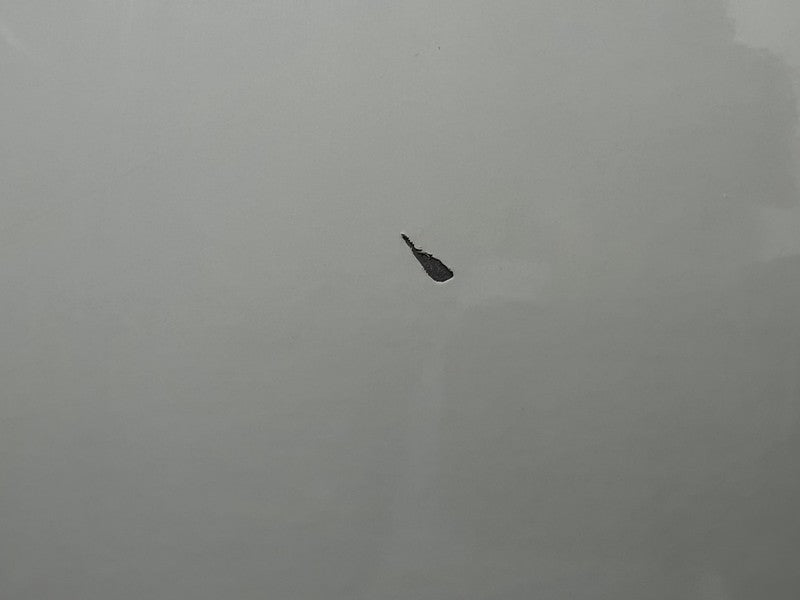 2012-2015 Tesla Model S Rear Passenger Side Door Shell Panel Right Whi