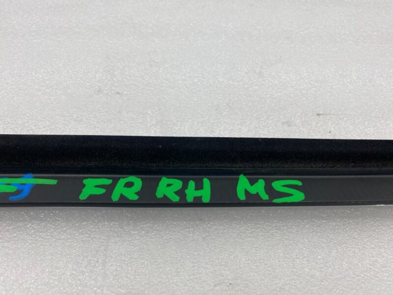 ⭕ 2016-2020 Tesla Model S Front Passenger Side Door Window Belt Molding Right RH