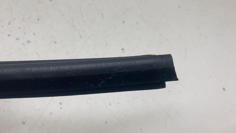 4KE 837 479 A ⭕ 19-23 Audi E-Tron Front Left Window Inner Belt Weatherstrip Seal LH 4KE837479A