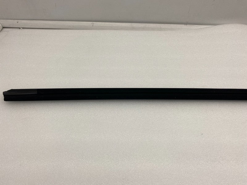 ⭕ 2020-2023 Tesla Model 3 Rear Driver Side Exterior Door Outer Belt Black Left