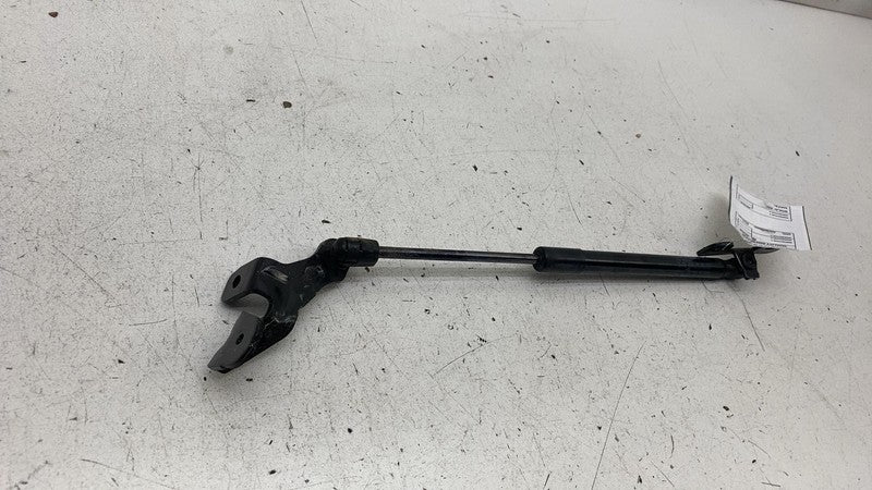 ⭕ 17-23 Tesla Model 3 Front Left or Right Bonnet Hood Shock Strut 1091