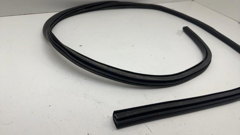 LJ8BR253H10AD ⭕ 21-24 Mustang Mach-E Front Door Body Weatherstrip Rubber Seal LJ8B-R253H10-AD