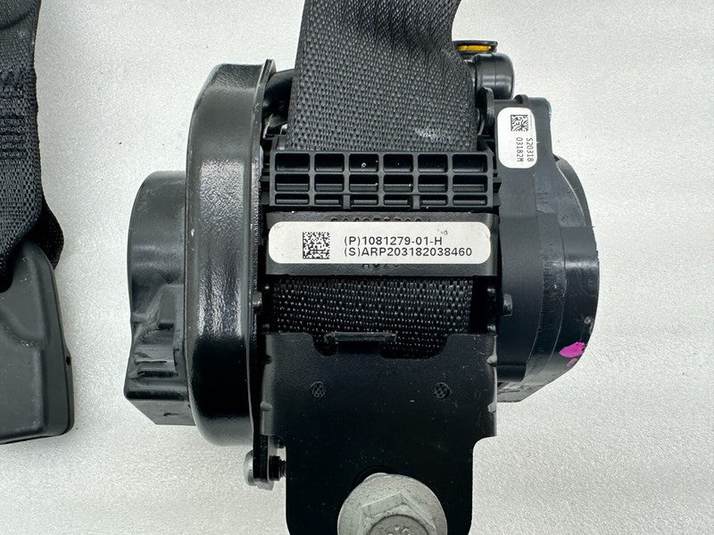 1081279 01 H ⭕ 2017-2023 Tesla Model 3 Front Side Seat Belt and Retractor Right 1081279-01-H