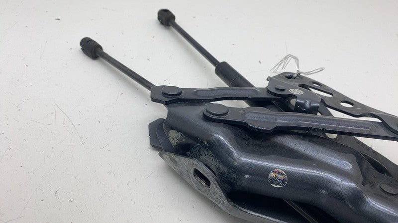 1058042 ⭕16-20 Model X Front Left & Right Side Bonnet Hood Hinge w/ Lift Support 1058042