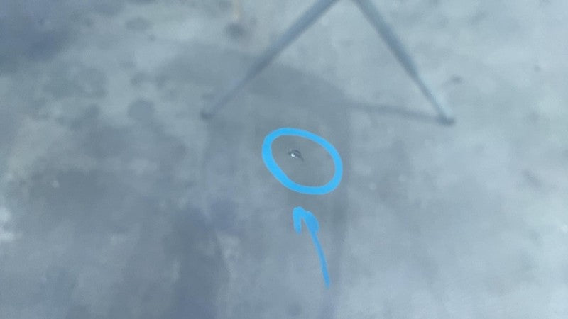 ⭕ 2016-2020 Tesla Model S Front Windshield Wind Screen Glass suit w/ T