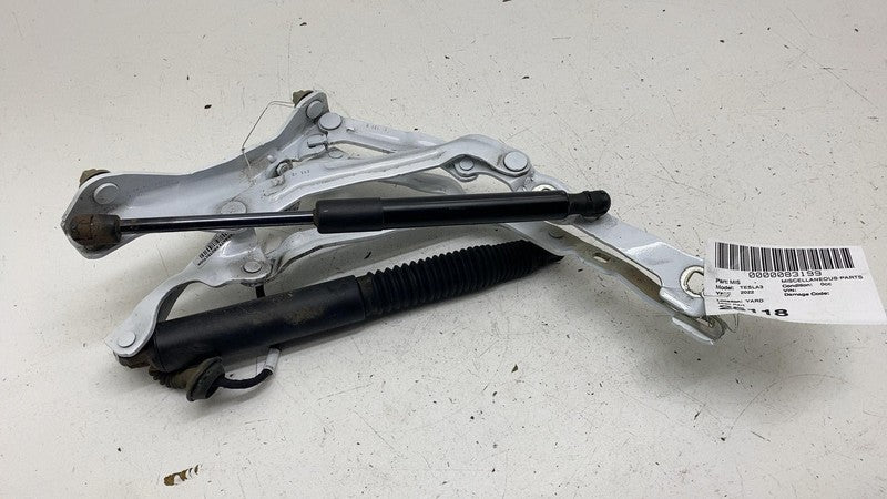 ⭕21-23 Model 3 Rear Left & Right Trunk Liftgate Hinges 1667398-00-B/16