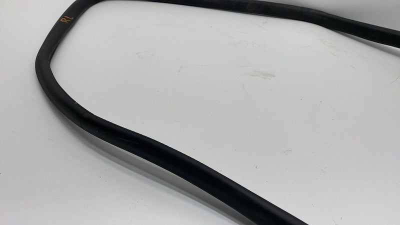 180754700D 2024 Tesla Cybertruck Rear Driver Side Door Seal Gasket Weather Strip Left OEM