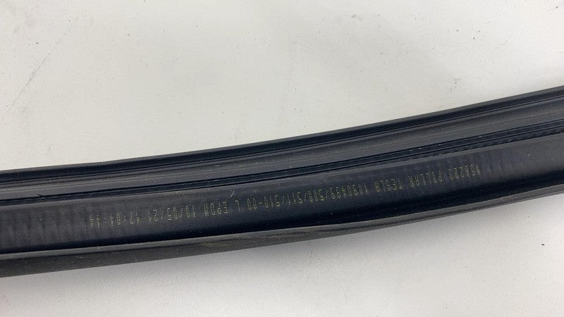 2017-2023 Tesla Model 3 Front Passenger Door Primary Weatherstrip Seal Right RH
