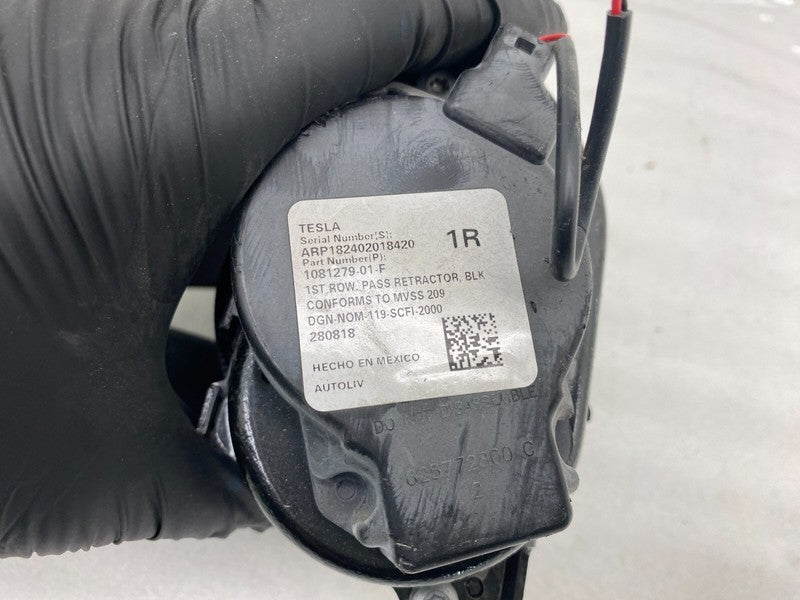 1081279 01 F ⭕ 2017-2023 Tesla Model 3 Front 1st Row Seat Belt & Retractor Right 1081279-01-F