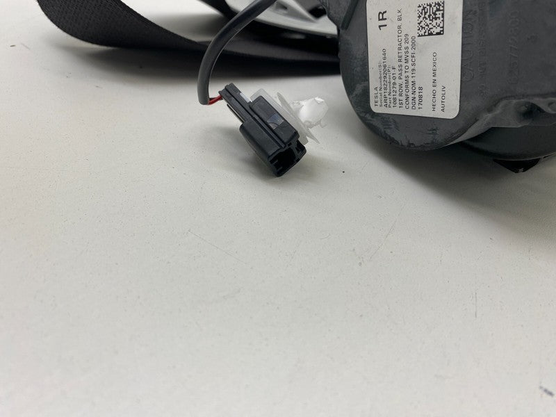 108127901F ⭕ 2017-2023 Tesla Model 3 Front 1st Row Seat Belt & Retractor Right 1081279-01-F
