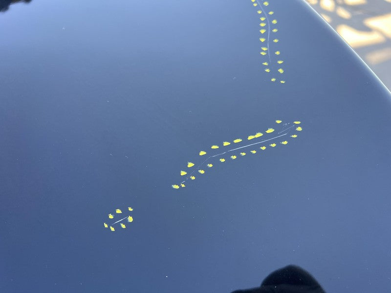 ⭕ 2016-2020 Tesla Model S Rear Tailgate Hatch Panel w/ Liftgate Glass