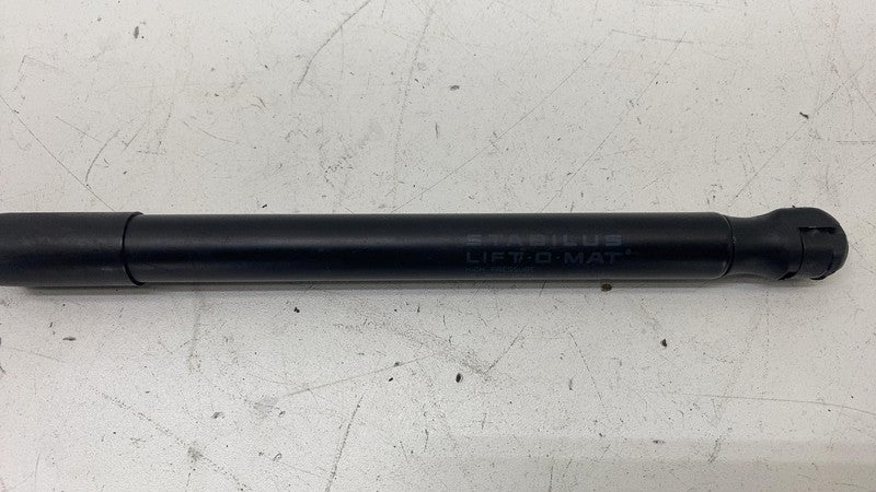 109147200D ⭕ 2017-2023 Tesla Model 3 Front Side Bonnet Hood Lift Strut Right 1091472-00-D