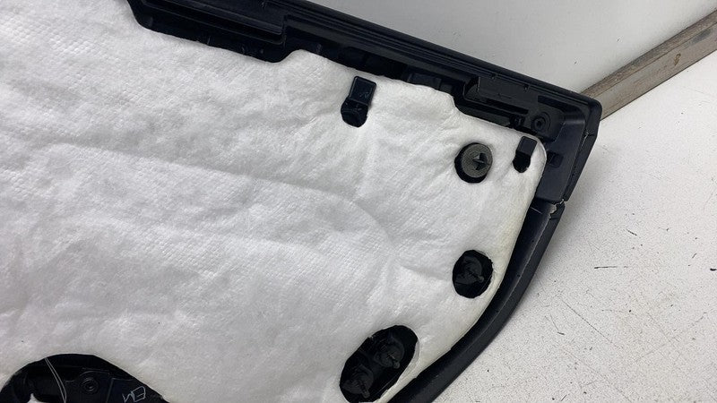 1105095-00-E 2017-2020 Tesla Model 3 M3 Rear Driver Side Door Panel Trim Cover Black Left LH