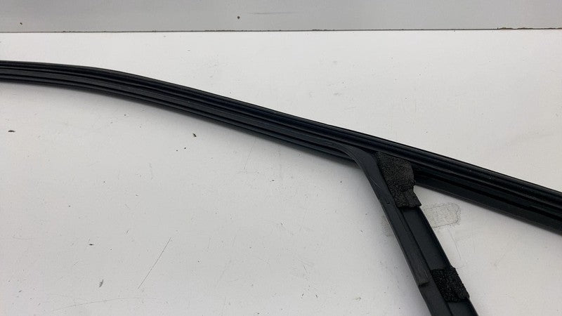 LJ8BR21511A ⭕ 21-24 Mustang Mach-E Front Left Door Window Glass Channel Seal LJ8B-R21511-A