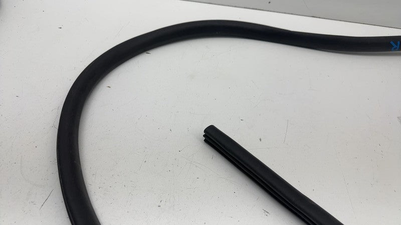 ⭕ 21-24 Mustang Mach-E Front Passenger Right Door Body Weatherstrip Rubber Seal