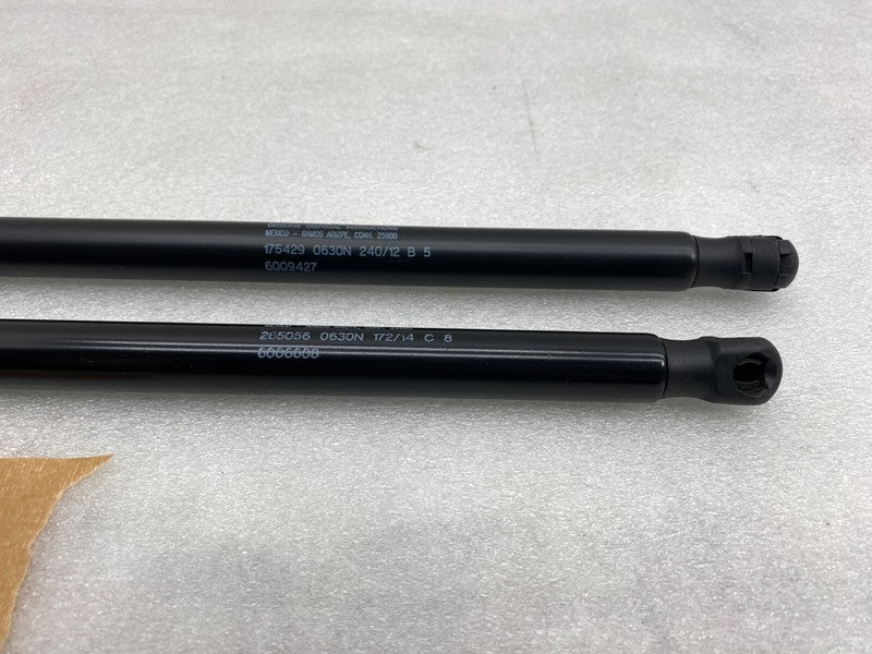 6009427 ⭕ 12-20 Tesla Model S Left & Right Trunklid Liftgate Gas Strut 6006608 / 6009427
