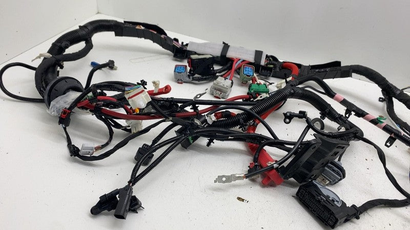 ⭕ 2025-2026 Tesla Model Y Front End Main Body Wiring Harness Cable Wir