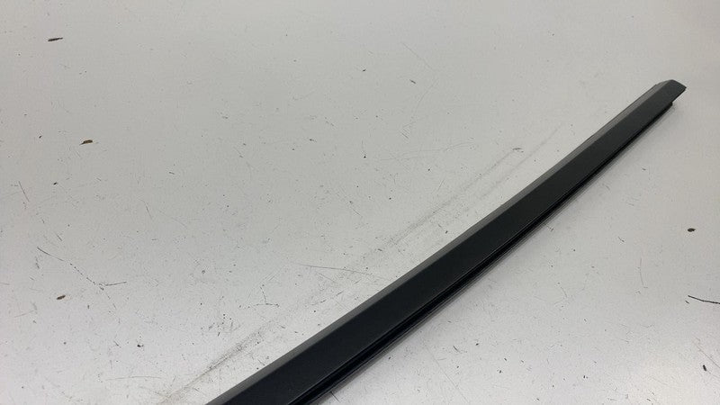 108068100H ⭕ 2021-2025 Tesla Model 3 Front Left Door Window Outer Belt Molding 1080681-00-H