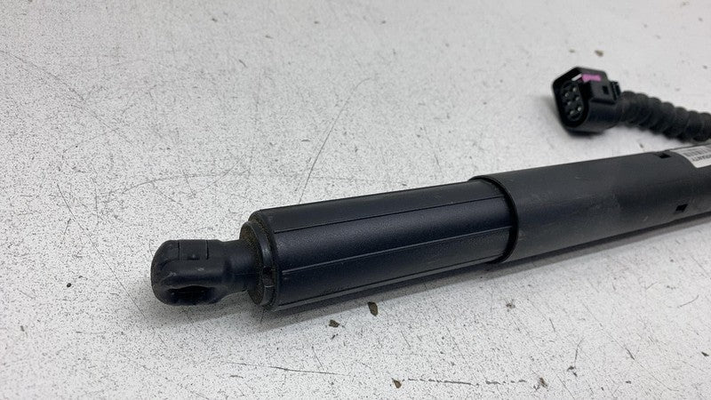 PT00002386 F 2022-2024 Rivian R1T R1S Hood Bonnet Lift Strut Shock Actuator PT00002386-F