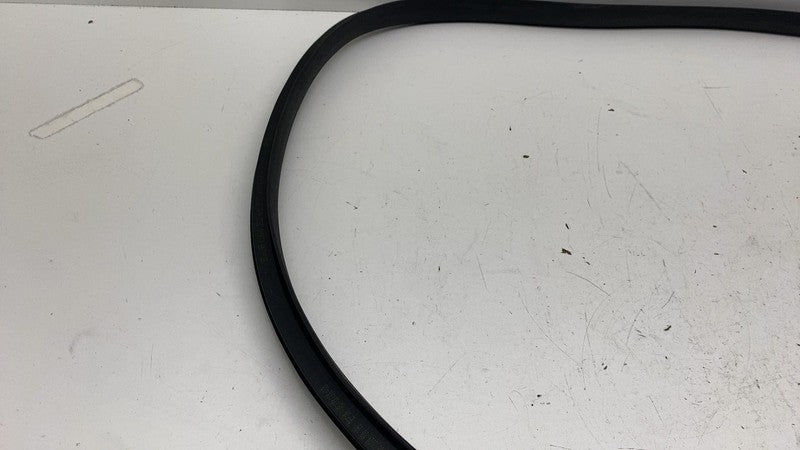 191098500C ⭕ 24-25 Tesla Model 3 Rear Side Left Door Primary Weatherstrip Seal 1910985-00-C