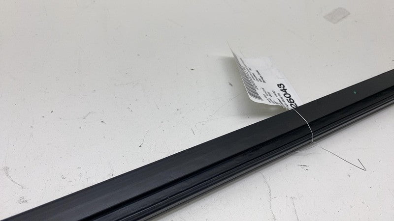 ⭕ 2021-2024 Ford Mustang Mach-E Right Door Window Inner Belt Weatherstrip Seal