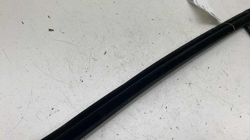 ⭕ 17-23 Model 3 Front Left Door Window Inner Belt Weatherstrip Seal 10