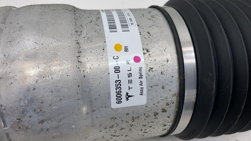 600635300C ⭕ 12-15 Model S Rear Right Air Spring Module Shock Absorber RWD OEM 6006353-00-C