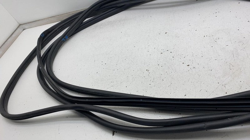 2022-2024 Kia EV6 Front & Rear Left & Right Door Body Weatherstrip Rubber Seal