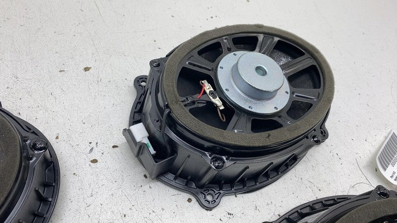 C100001447G 2022 2023 2024 Rivian R1T R1S Set of Left & Right Door Audio Sound Speakers (4x)