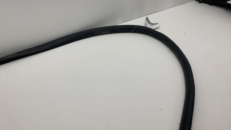 2020-2023 Tesla Model Y MY Front Driver Left Door Body Weatherstrip Rubber Seal