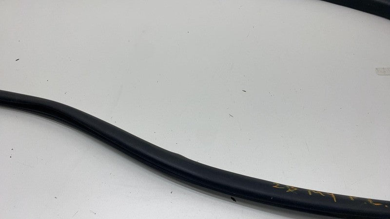 2020-2023 Tesla Model Y MY Front Driver Left Door Body Weatherstrip Rubber Seal