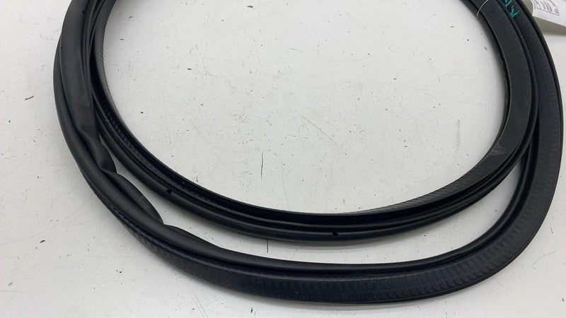 31662570 ⭕21-23 Polestar 2 Rear Passenger Side Door Body Weatherstrip Seal Right 31662570