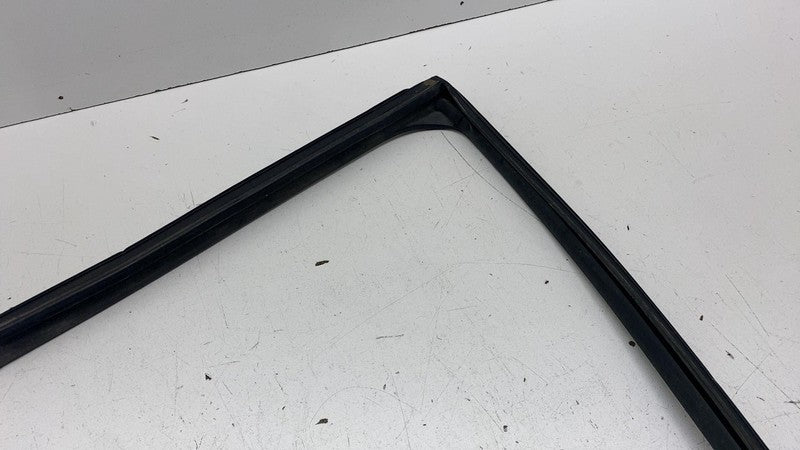 ⭕ 2023-2025 Toyota Prius Rear Driver Side Door Window Run Channel Seal Left OEM