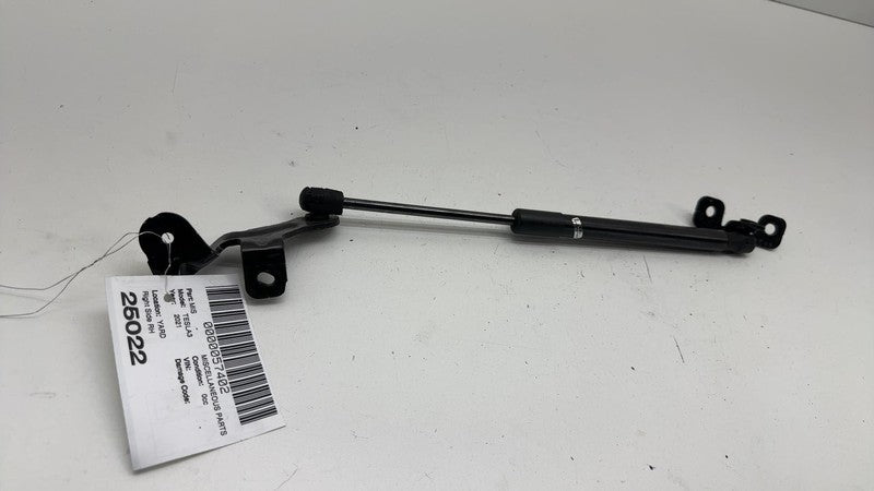 ⭕ 2017-2023 Tesla Model 3 M3 Front Passenger Hood Lift Shock Strut Sup