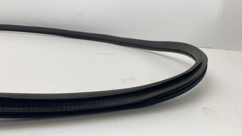 68291607 ⭕ 2019-2025 Ram 1500 Rear Left Door Body Weatherstrip Rubber Seal OEM 68291607