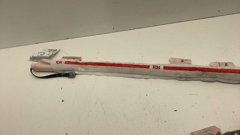 ⭕ 2012-2020 Tesla Model S Right Passenger Roof Curtain Airbag OEM 1005