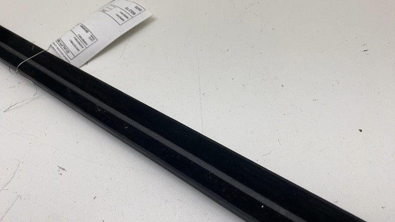 ⭕ 2021-2024 Ford Mustang Mach-E Left Door Window Inner Belt Weatherstrip Seal LH