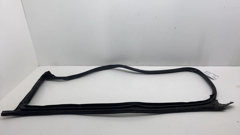 2017-2023 Tesla Model 3 Front Passenger Door Primary Weatherstrip Seal