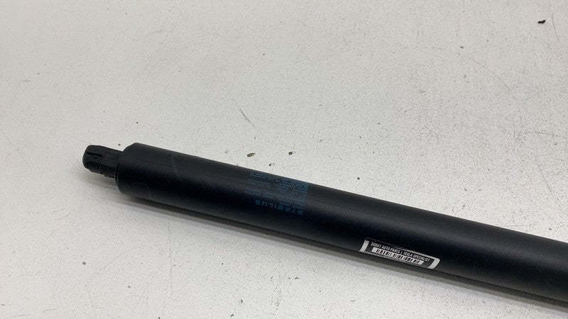 ⭕ 2012-2024 Tesla Model S Rear Left Liftgate Trunk Spring Strut LH 600