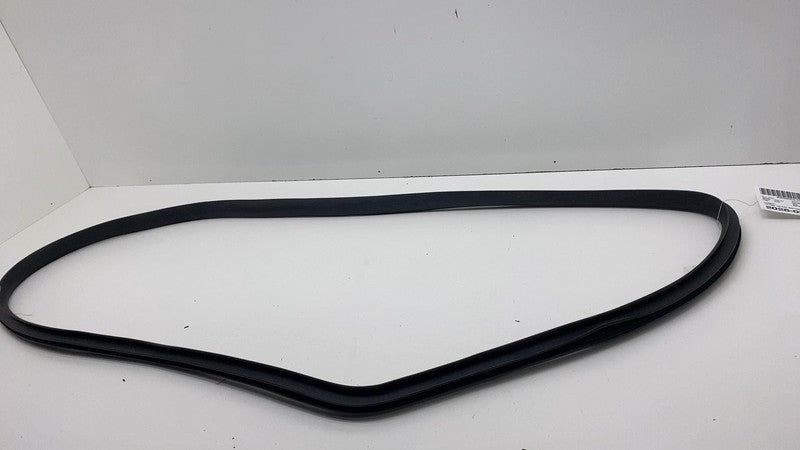 2020-2023 Tesla Model Y Rear Driver Side Door Body Weatherstrip Rubber