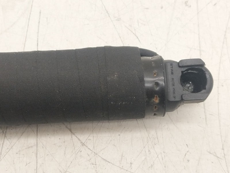 ⭕ 16-25 Model X Front Left/Rear Right Primary Door Lift Shock Strut 10